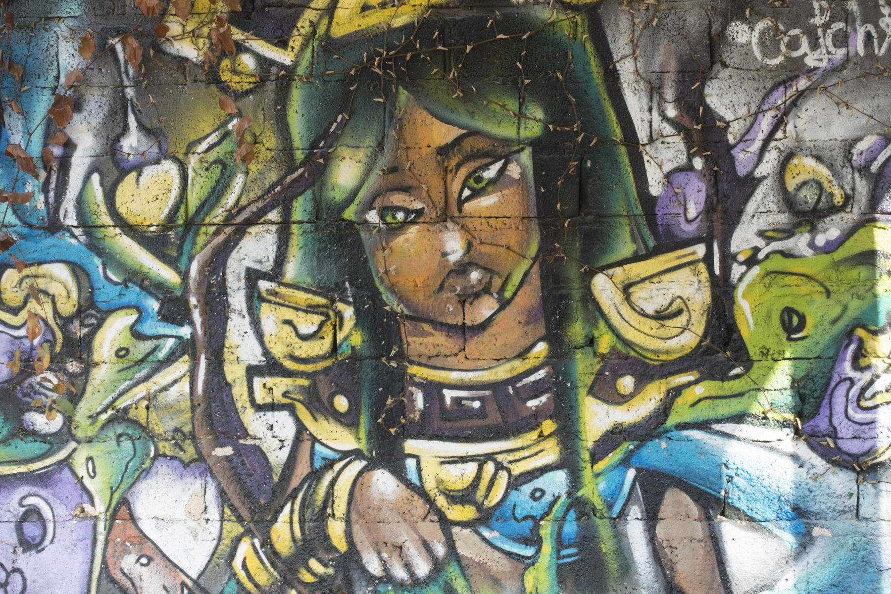 Green-eyed Mayan goddess on a park wall : PUERTO VALLARTA - Wall Art & Bicycle Tour : Viviane Moos |  Documentary Photographer